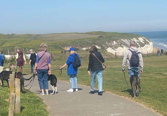 Dog Friendly Kent Weekend Guide 12 September 2026 13 September 2026