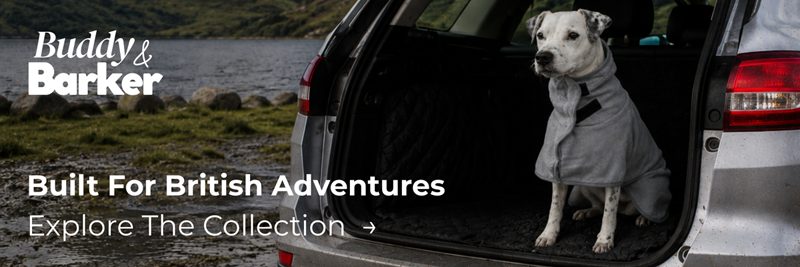 Outdoor Dog Gear Online Shop Kent UK